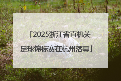 2025浙江省直机关足球锦标赛在杭州落幕