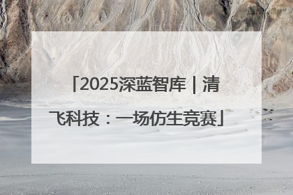 2025深蓝智库｜清飞科技：一场仿生竞赛