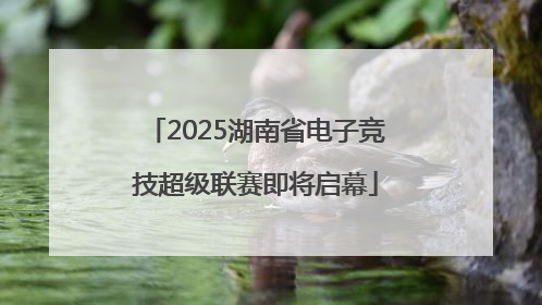 2025湖南省电子竞技超级联赛即将启幕