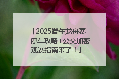 2025端午龙舟赛｜停车攻略+公交加密 观赛指南来了！
