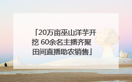 20万亩巫山洋芋开挖 60余名主播齐聚田间直播助农销售