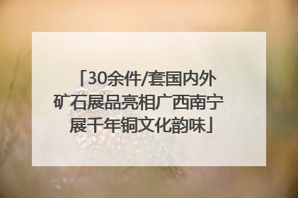 30余件/套国内外矿石展品亮相广西南宁 展千年铜文化韵味