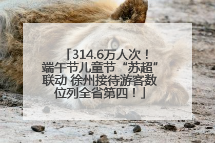 314.6万人次！端午节儿童节“苏超”联动 徐州接待游客数位列全省第四！