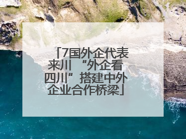 7国外企代表来川 “外企看四川”搭建中外企业合作桥梁