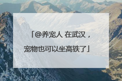 @养宠人 在武汉，宠物也可以坐高铁了